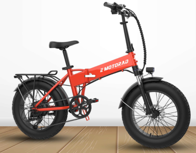 E- Bike DOOBLE PRO