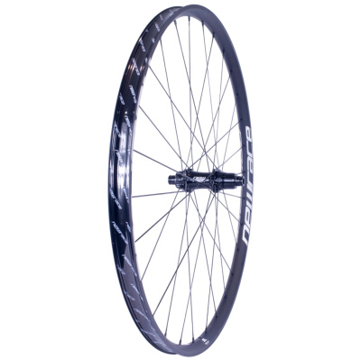 New Race - SL