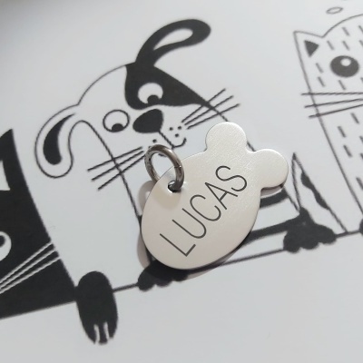 Chapas peixinho para animais low cost