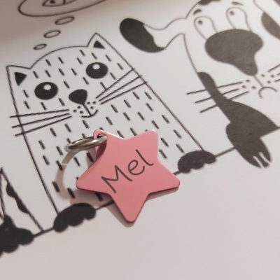 Chapas estrela para animais low cost