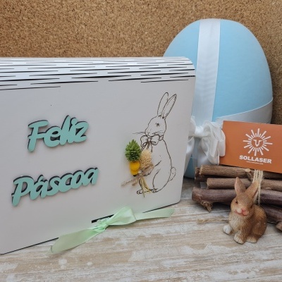 Caixa livro coelhinho com ramo de flores secas