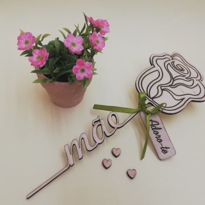 Rosa com a palavra mãe