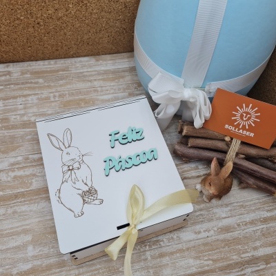 Caixa livro média - Coelhinha