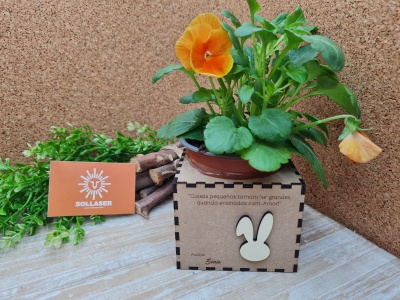 Caixa floreira e porta-lápis