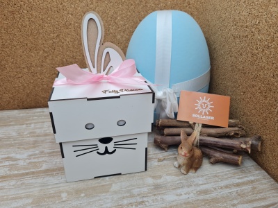 caixa coelhinho com orelhas