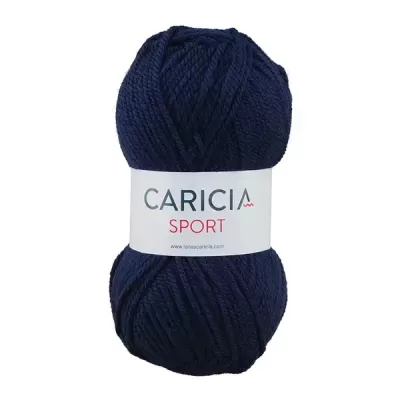 Lã Caricia sport 100g - 014