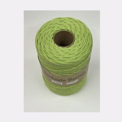 Linha Barb. Beatriz 4mm (Verde Pistacho) - Cor 536