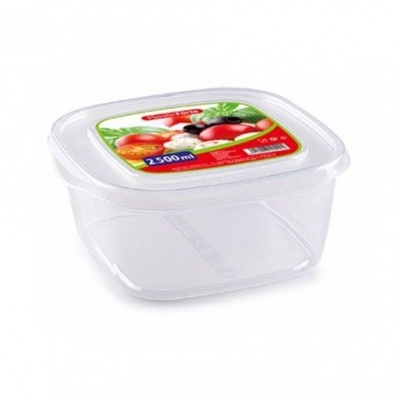 PlasticoForte caixa hermética quadrada 2.5L