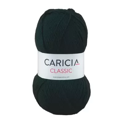 Lã Caricia classic 100g - 023