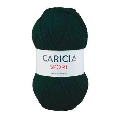 Lã Caricia sport 100g - 023