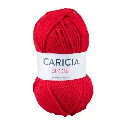 Lã Caricia sport 100g - 052