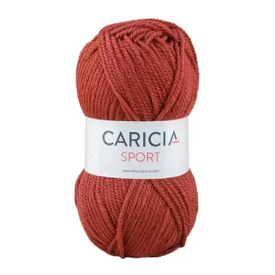 Lã Caricia sport 100g - 066