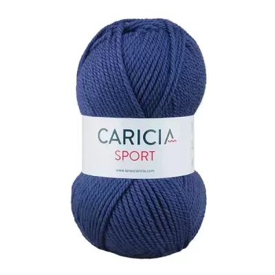 Lã Caricia sport 100g - 036