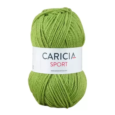 Lã Caricia sport 100g - 119