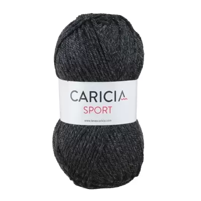 Lã Caricia sport 100g - 043
