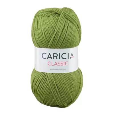 Lã Caricia classic 100g - 119