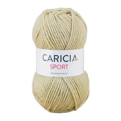 Lã Caricia sport 100g - 063