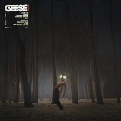 Geese – Projector