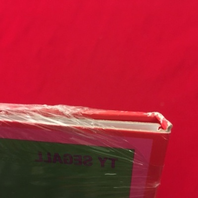 Ty Segall – First Taste