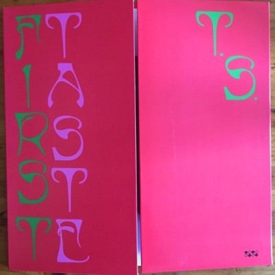 Ty Segall – First Taste