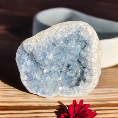 Drusa Majestosa de Celestina