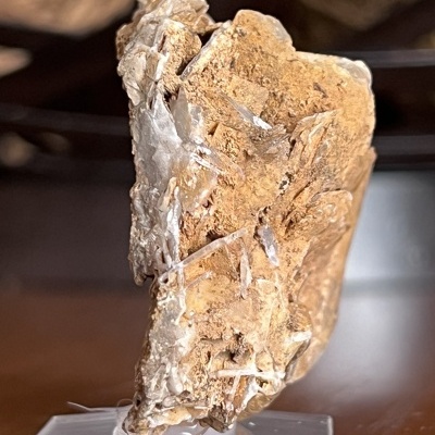 Barita – Sardenha, Itália