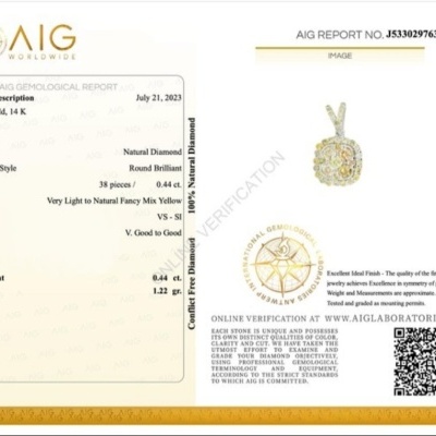 Pendente de Diamante Natural em Ouro Branco 14K - Certificado AIG e Elegância Atemporal