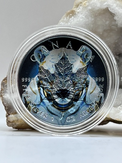Maple Leaf 2024 Colorized Bear 1 oz Prata ($5)