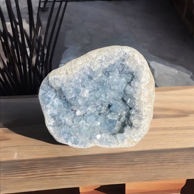 Drusa Majestosa de Celestina