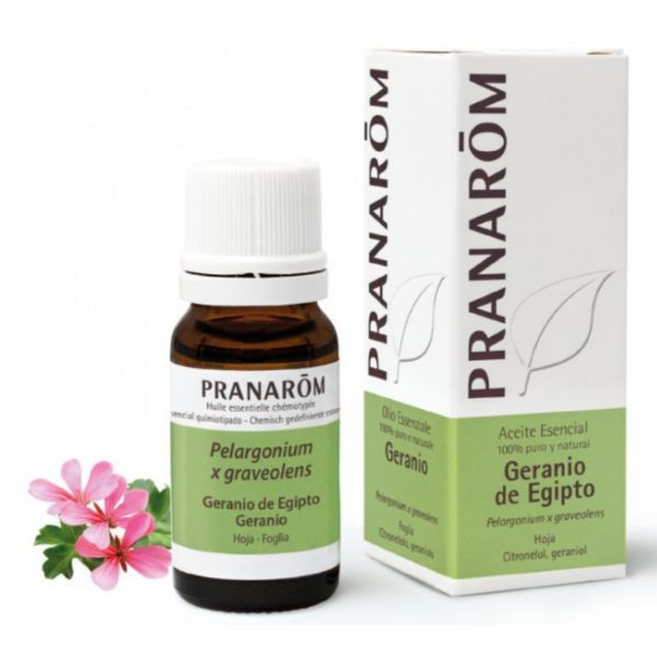 GERÂNIO - ÓLEO ESSENCIAL BIO