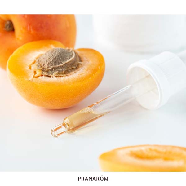 CAROÇO DE ALPERCE - ÓLEO VEGETAL BIO