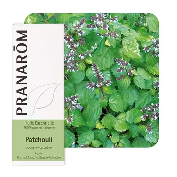 PATCHOULI - ÓLEO ESSENCIAL BIO