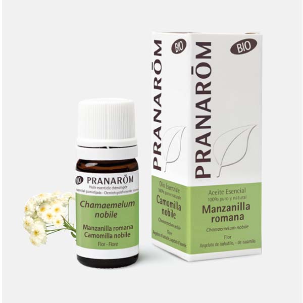 CAMOMILA NOBRE (ROMANA) - ÓLEO ESSENCIAL BIO