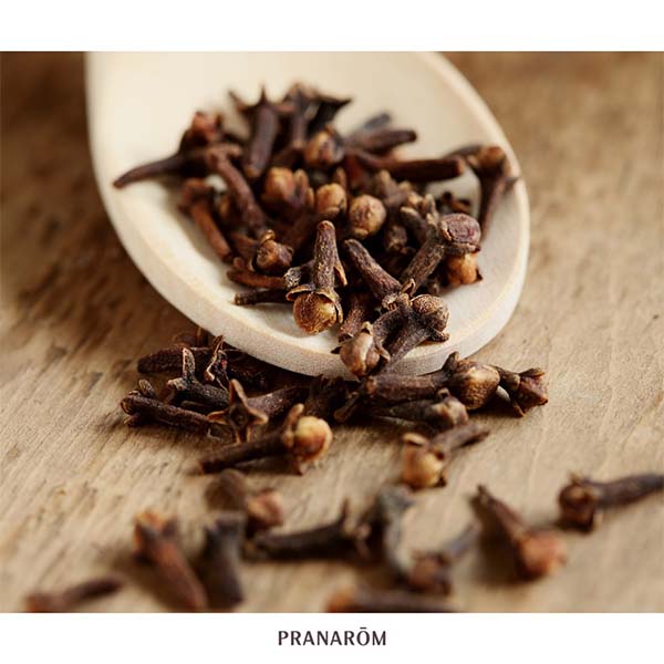 CRAVINHO - ÓLEO ESSENCIAL BIO