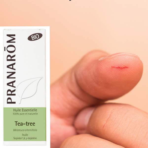 ÁRVORE DO CHÁ - ÓLEO ESSENCIAL BIO