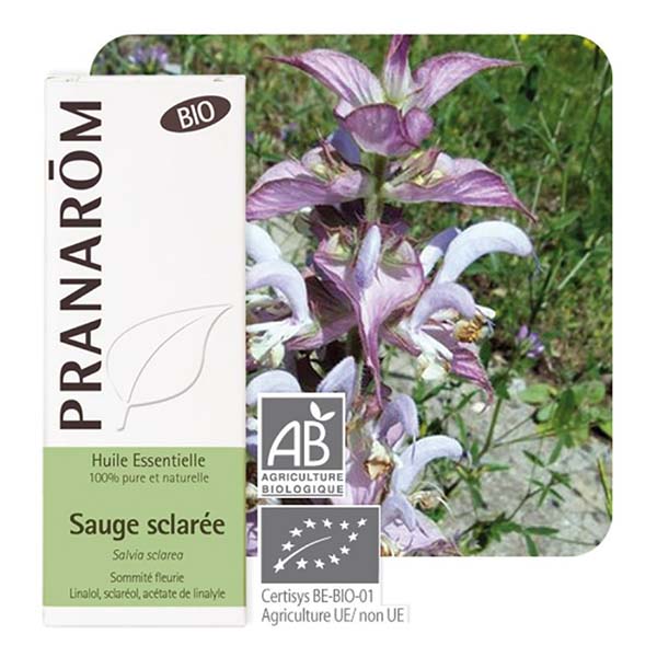 SALVA  ESCLAREIA - ÓLEO ESSENCIAL BIO