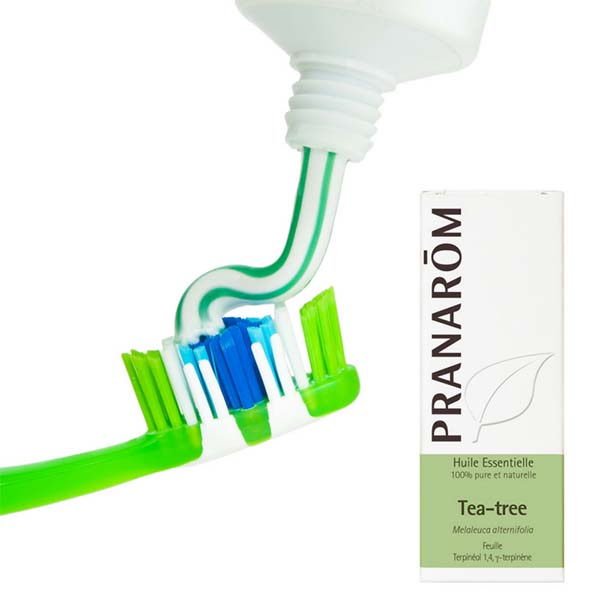 ÁRVORE DO CHÁ - ÓLEO ESSENCIAL BIO