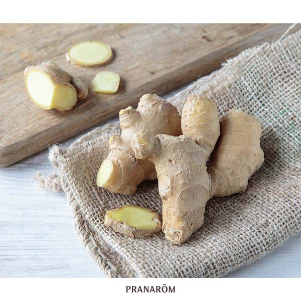 GENGIBRE - ÓLEO ESSENCIAL BIO