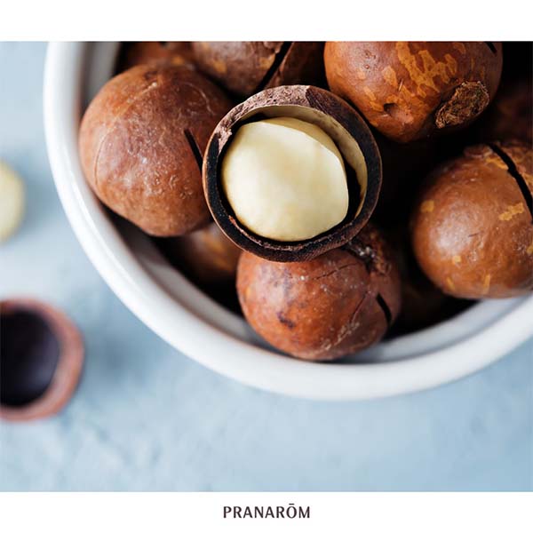 MACÂDAMIA - ÓLEO VEGETAL BIO