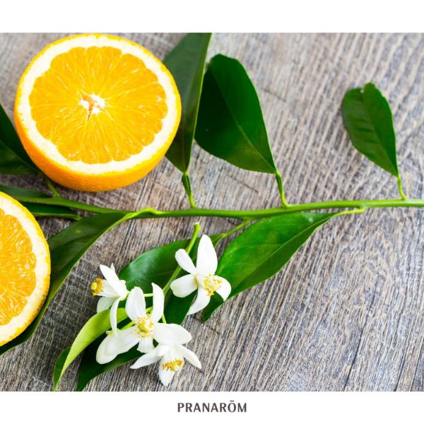 NÉROLI - ÓLEO ESSENCIAL