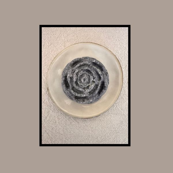 CHAMPÔ SÓLIDO - cabelos oleosos