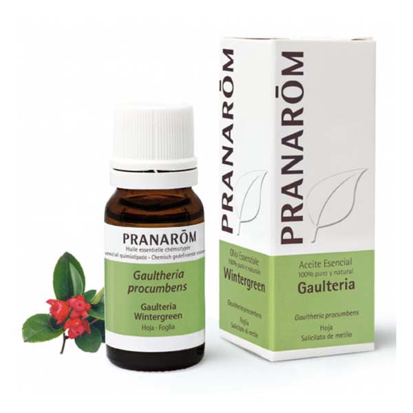 GAULTÉRIA - ÓLEO ESSENCIAL BIO
