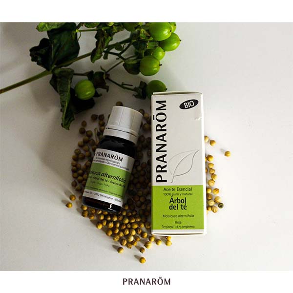 ÁRVORE DO CHÁ - ÓLEO ESSENCIAL BIO