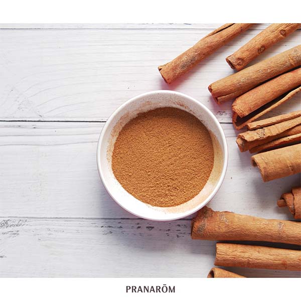 CANELA DA CHINA - ÓLEO ESSENCIAL BIO