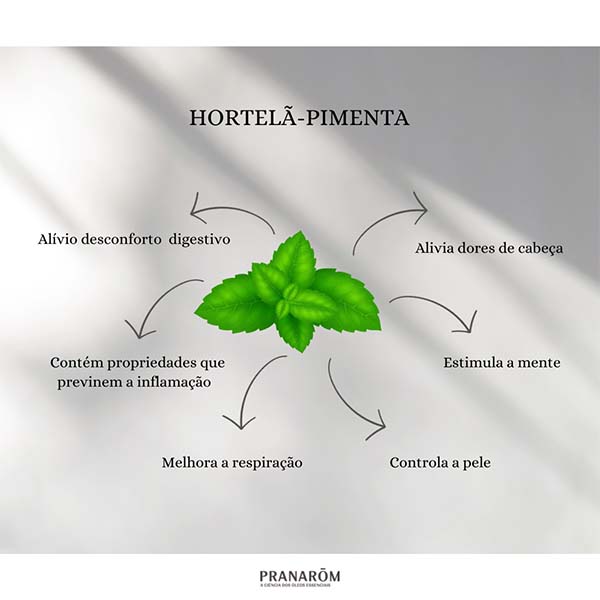 HORTELÃ-PIMENTA - ÓLEO ESSENCIAL BIO