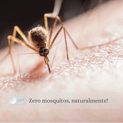 REPELENTE E CALMANTE