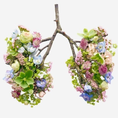 APARELHO RESPIRATÓRIO