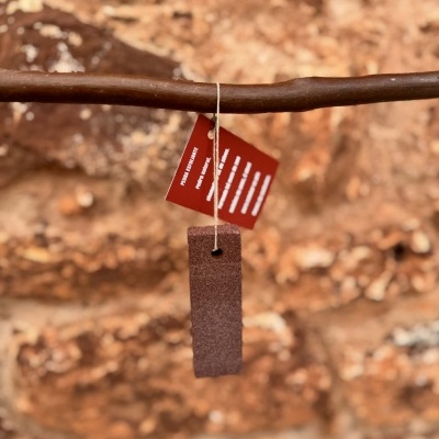 Pedra Grés - Esfoliante natural pés