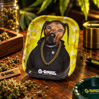 Tabuleiro G-Rollz Mini Pets Rock Art