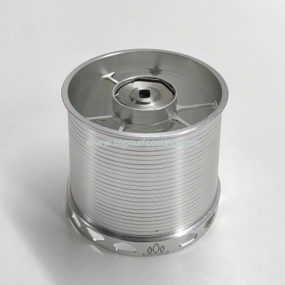 Bobine Sea Fishing Daiwa 45